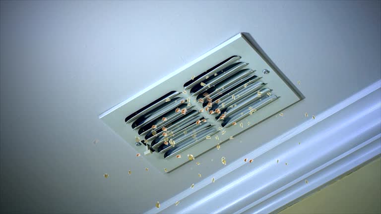 Best Home Air Vent Cleaning  in Happy Valley, OR